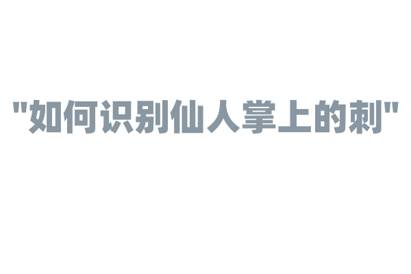 "如何识别仙人掌上的刺"